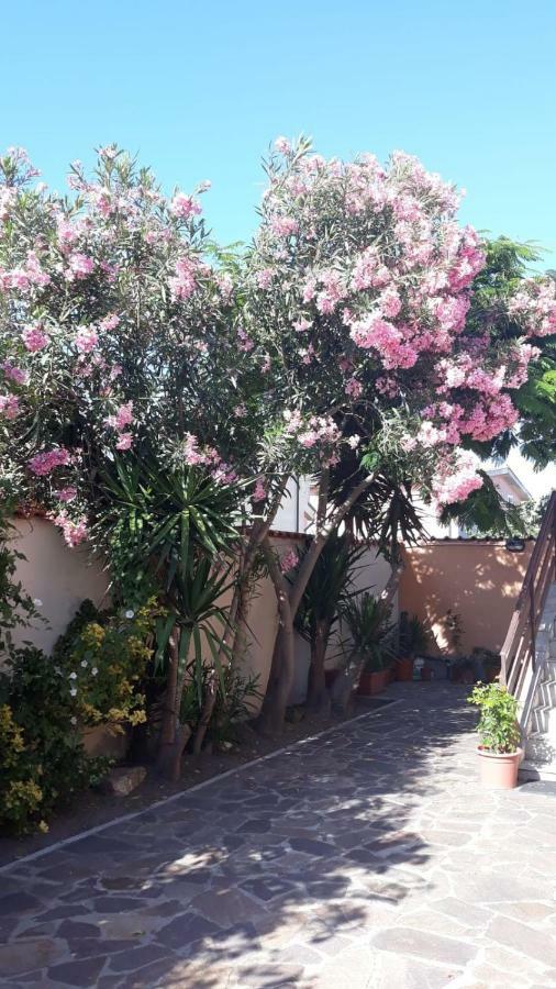 B&B Fiumicino Airport Resort מראה חיצוני תמונה