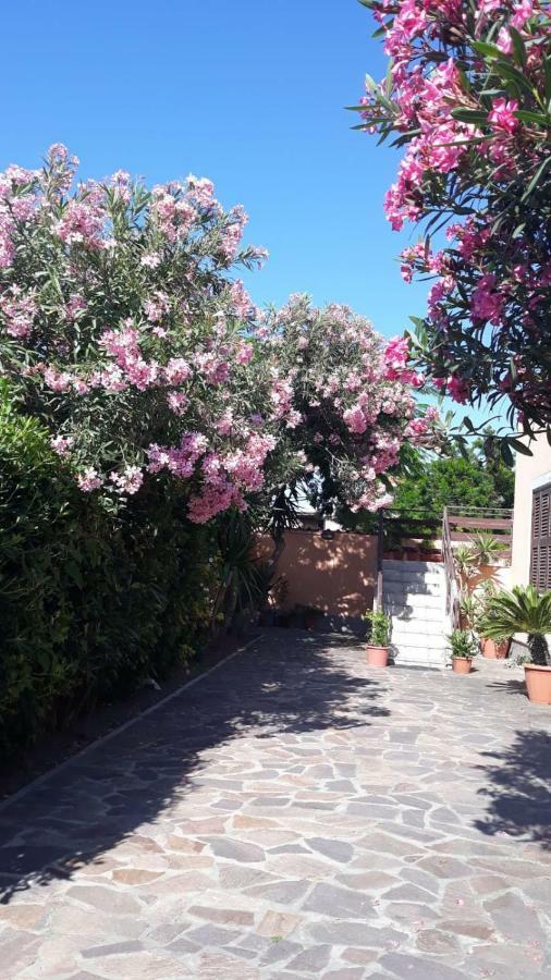 B&B Fiumicino Airport Resort מראה חיצוני תמונה